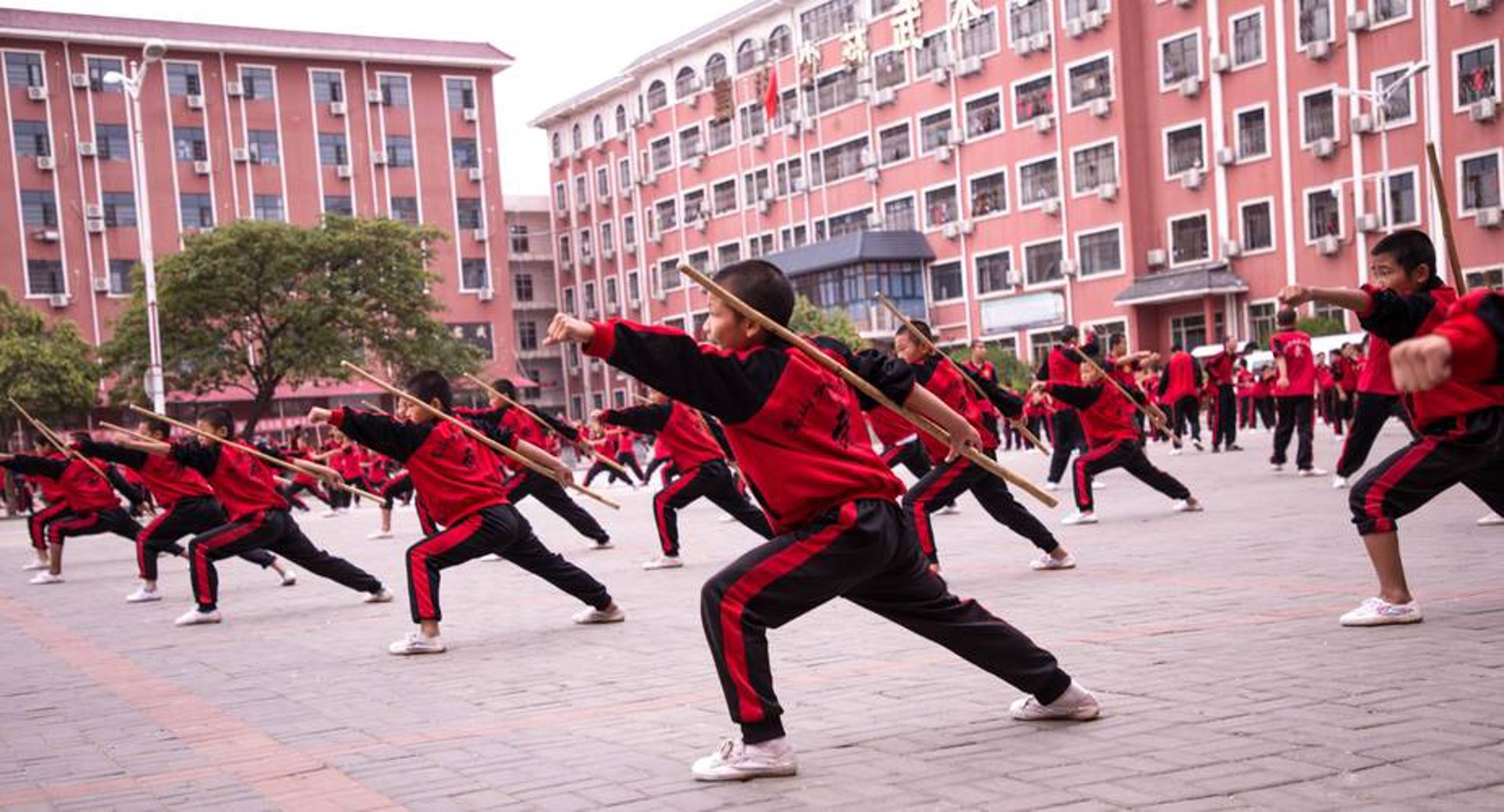 少林小龙武校